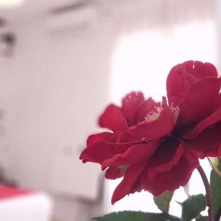 マラガDel Parque Flats Atico Penaアパートメント エクステリア 写真